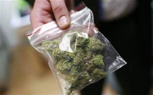 marijuana-in-bag-big-hemp-beach-tv-hbtv